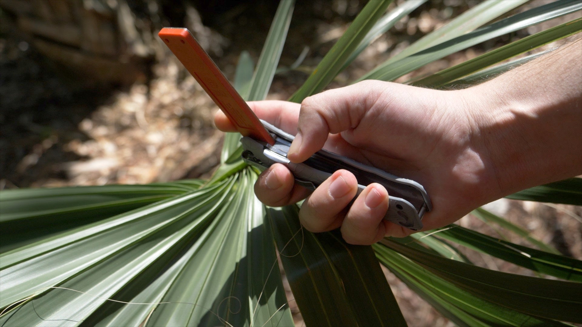 Dmt diamond sharpeners - edgesharp burst spring-assisted sharpener - the best knife sharpeners made in usa